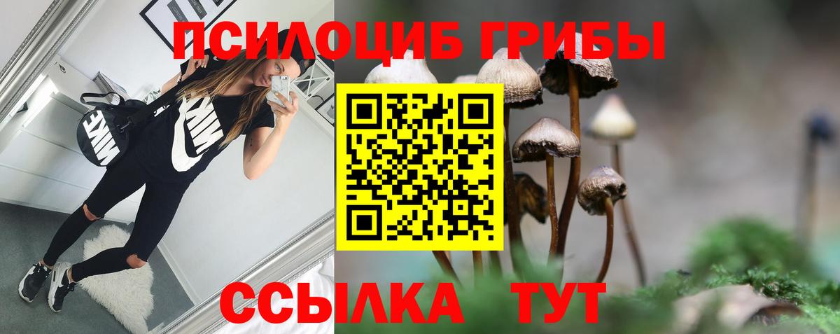Людиново  закладки  Вход с VPN  Галлюциногенные грибы Cubensis 