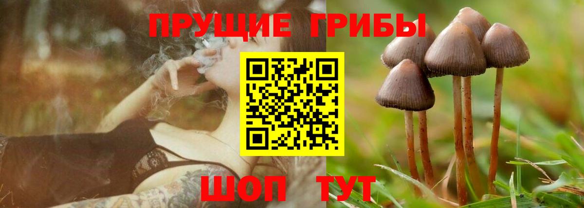 Псилоцибиновые грибы MAGIC MUSHROOMS Людиново